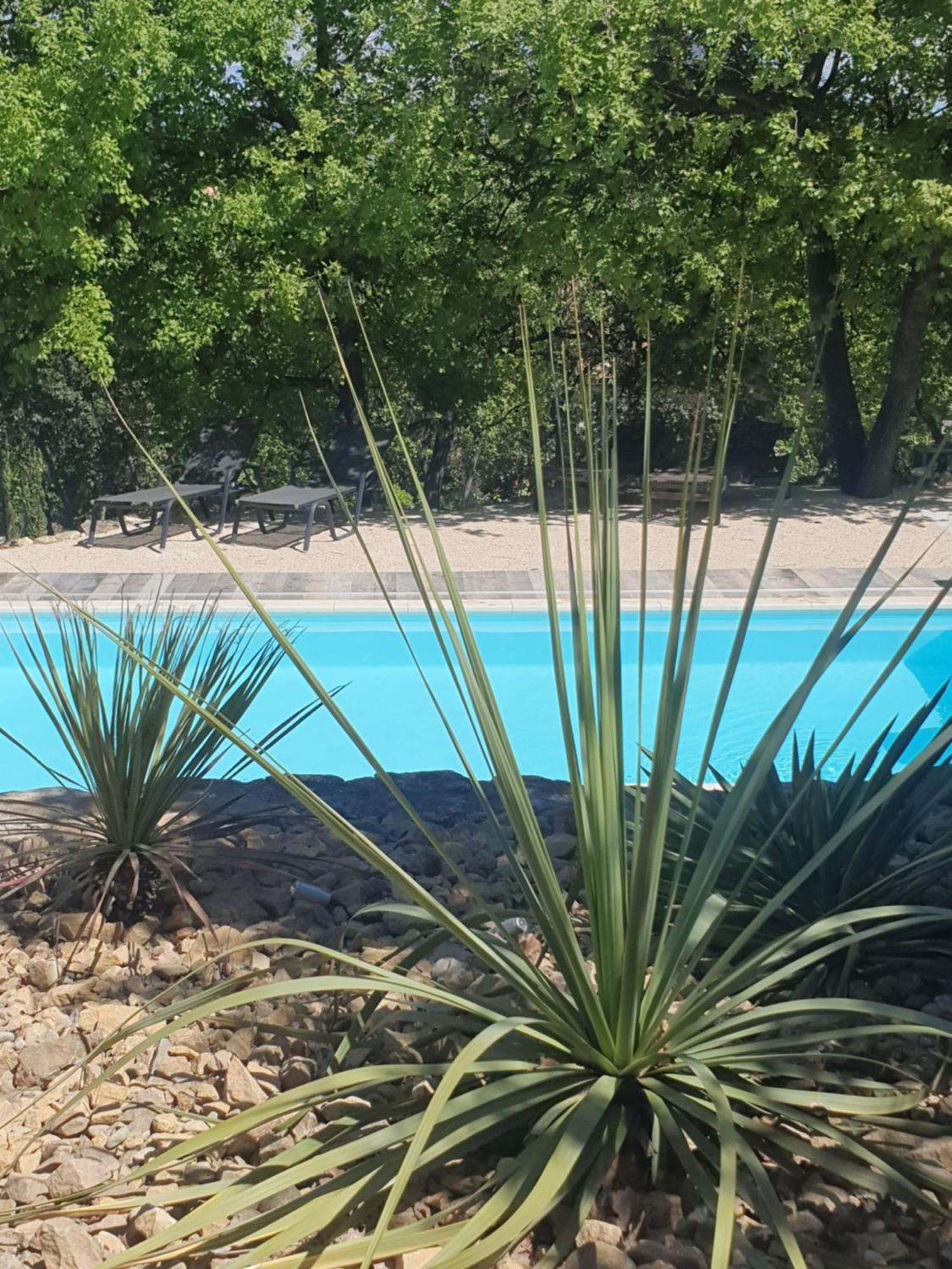 Villa Le Soleil Du Ventoux Entrechaux Esterno foto